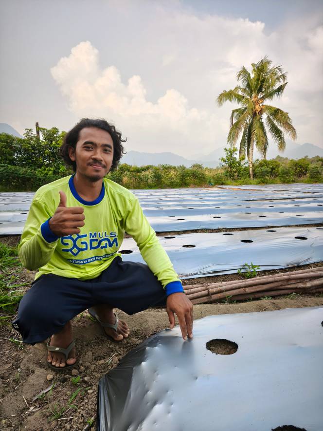 testimoni petani pengguna mulsa dgw