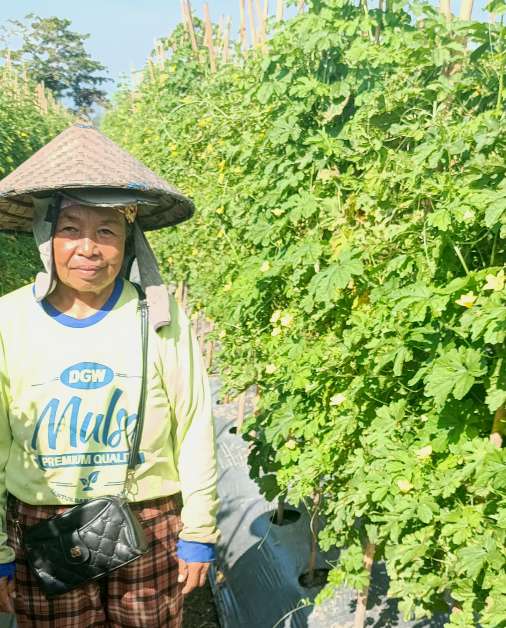 testimoni mulsa dgw sulawesi