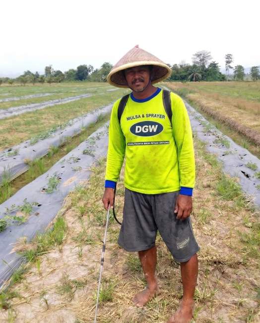 testimoni mulsa dgw gorontalo