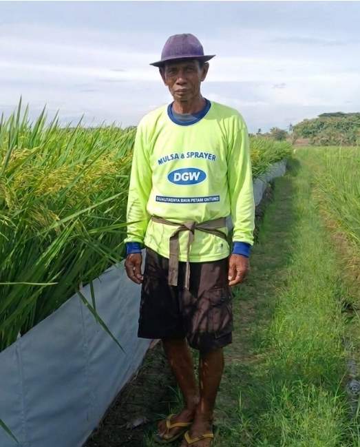 testimoni penggunaan pinian padi dgw di sulawesi