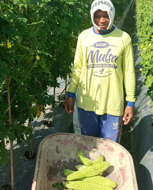 testimoni alat tani dgw