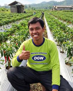 testimoni mulsa dgw jawa tengah