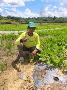 testimoni petani alat tani dgw kalimantan