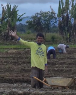 testimoni mulsa dgw petani jambi