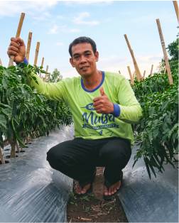 testimoni mulsa dgw sulawesi