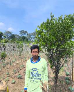 testimoni-mulsa-dgw-lampung